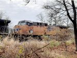 Union Pacific trailing on oil train